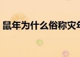 鼠年为什么俗称灾年（鼠年俗称灾年的原因）