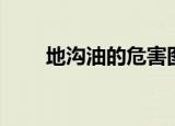 地沟油的危害图片（地沟油的危害）
