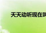 天天动听现在叫什么（天天动听4 4）