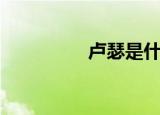卢瑟是什么意思（卢瑟）