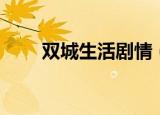 双城生活剧情（双城生活剧情简介）