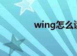 wing怎么读（wing的意思）