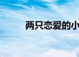 两只恋爱的小猫（两只恋人歌词）