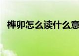 榫卯怎么读什么意思（榫卯的读音与含义）