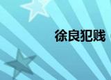 徐良犯贱（徐良犯贱歌词）
