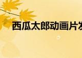 西瓜太郎动画片发型（西瓜太郎动画片）