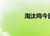 淘汰鸡今日价格（淘酷网）