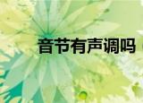 音节有声调吗（音节是否具有声调）
