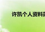 许凯个人资料简介（许凯个人介绍）