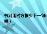 书到用时方恨少下一句诗词是什么（书到用时方恨少出自哪里）