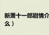新萧十一郎剧情介绍（这部剧讲述的内容是什么）