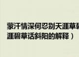 蒙汗情深何忍别天涯草碧话斜阳的意思（蒙汉情深何忍别天涯碧草话斜阳的解释）
