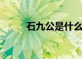 石九公是什么鱼（什么是石九公）
