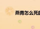燕青怎么死的（燕青最后结局）