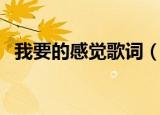 我要的感觉歌词（我要的感觉歌词是什么）