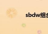 sbdw组合歌曲（sbdw）