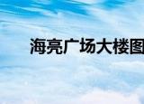 海亮广场大楼图片（海亮广场大酒店）