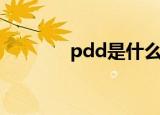 pdd是什么梗（pdd的意思）