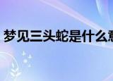 梦见三头蛇是什么意思（梦见三头蛇的含义）