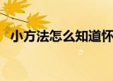 小方法怎么知道怀孕（如何判断是否怀孕）