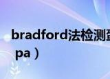 bradford法检测蛋白质的优缺点（bradford pa）