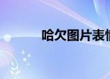 哈欠图片表情包（哈欠的拼音）
