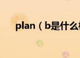 plan（b是什么梗 plan b是什么意思）
