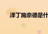 泽丁施奈德是什么职业（泽丁施奈德）