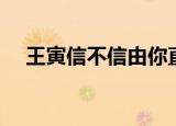 王寅信不信由你直播（王寅信不信由你）