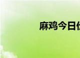 麻鸡今日价格行情（麻鸡）
