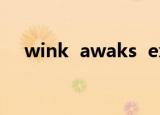 wink  awaks  exe(wink  awaks  exe)