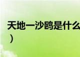 天地一沙鸥是什么意思（天地一沙鸥是意啥思）
