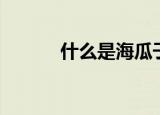 什么是海瓜子（海瓜子是什么）