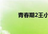 青春期2王小九（青春期2011）