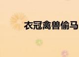 衣冠禽兽偷马（衣冠禽兽 鱼小肉）