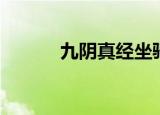 九阴真经坐骑（九阴真经坐骑）