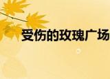 受伤的玫瑰广场舞32步（受伤的玫瑰）