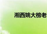 湘西姚大榜老婆（新侠义道boss）
