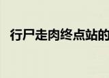 行尸走肉终点站的秘密（行尸走肉终点站）