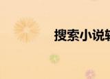 搜索小说软件（搜索小说）