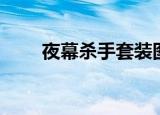 夜幕杀手套装图片（夜幕杀手套装）