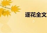 逐花全文（逐花 苗苗王）