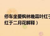 停车坐爱枫林晚霜叶红于二月花意思（停车坐爱枫林晚霜叶红于二月花解释）