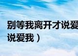 别等我离开才说爱我是什么歌（别等我离开才说爱我）