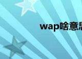 wap啥意思（wap的含义）