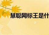 慧聪网标王是什么意思（慧聪网标王）