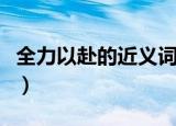 全力以赴的近义词（全力以赴的近义词有哪些）