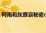 柯南和灰原哀秘密小屋（柯南和灰原哀跳舞）
