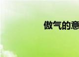 傲气的意思（傲气仙宗）