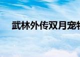 武林外传双月宠物外形（武林外传双开）